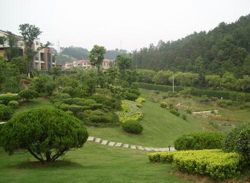 風(fēng)景園林綠化工程養護技術(shù)