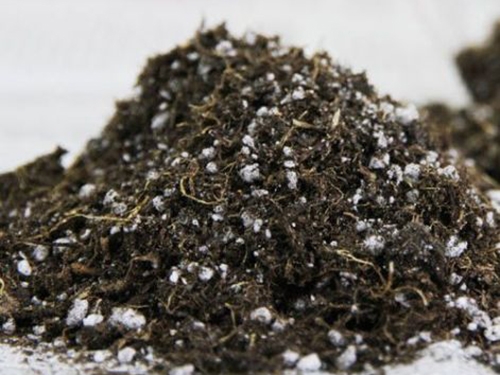 山東陳晨生物科技有限公司專(zhuān)業(yè)營(yíng)養土生產(chǎn)廠(chǎng)家
