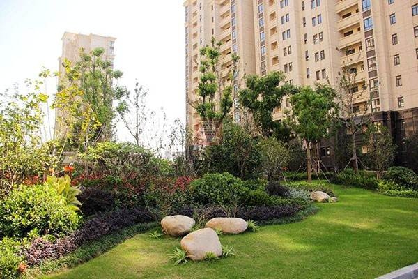 園林景觀(guān)的反季節種植技術(shù)